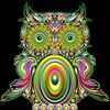 samantha_frew